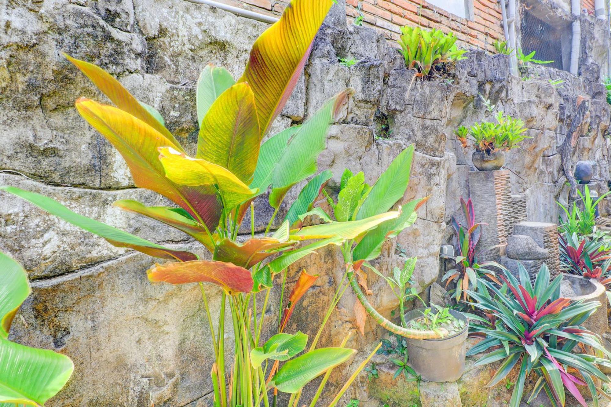 Hotel O Ubud Asri Homestay Near Monkey Forest Exterior photo